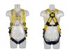 Delta Twin Point Harness