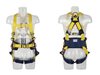 Delta Twin Point Harness with Positioning Belt