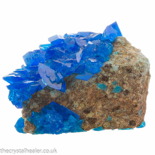 Chalcanthite Crystal 17