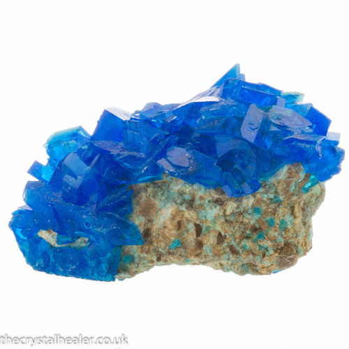 Chalcanthite Crystal 18