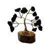 Black Tourmaline Mini Tree